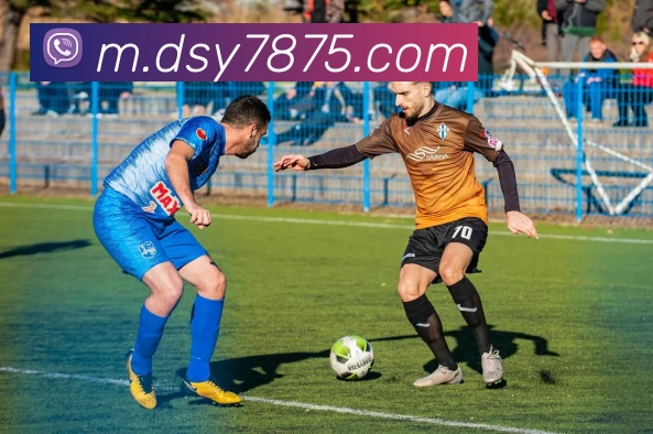 大三元官网平台登录服务体系